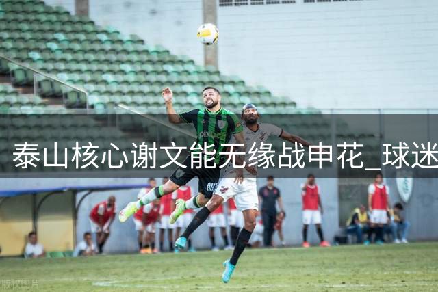 泰山核心谢文能无缘战申花 球迷惋惜其缺阵